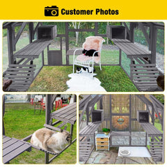 Outdoor Cat Run: Large Cat Enclosure