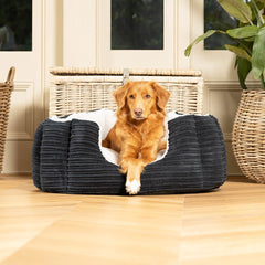 High Wall Bed For Dogs in Essentials Plush – Navy Plush, Without Personalization pour les activités extérieures
