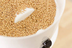 Classic High-Speed Grain/Flour Mill Configuration B