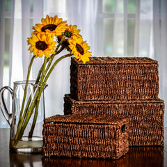 Set of 3 Small Rectangular Seagrass Baskets with Lids, Woven Storage Baskets